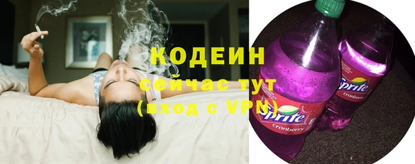 дурь Алзамай