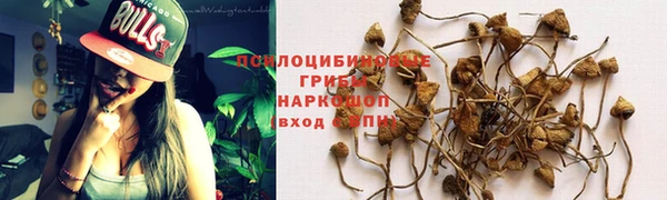 ГАЛЛЮЦИНОГЕННЫЕ ГРИБЫ Алексин