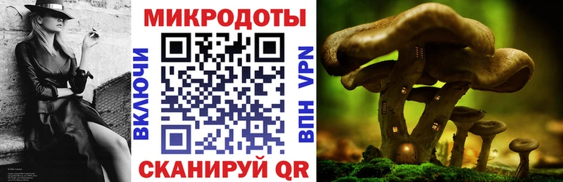 Псилоцибиновые грибы Psilocybe  Киржач 